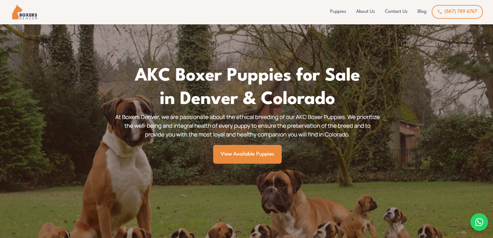 Portal Web para Boxers Denver